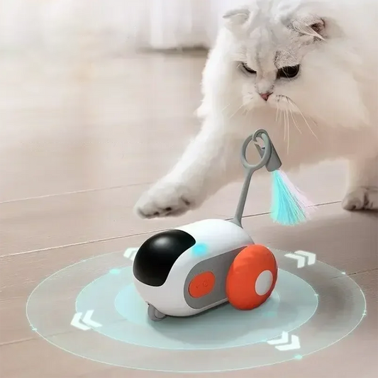 Rechargeable Interactive Remote Control Toy Car for Cats