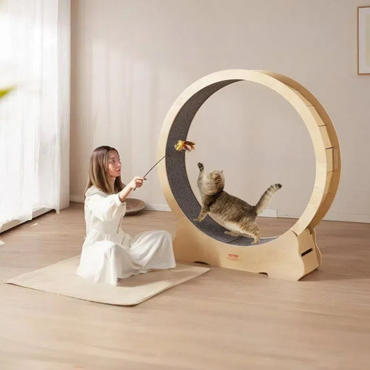 Cat Exercise Wheel Natural Wood Silent Running Toy Treadmill Roller Wheel