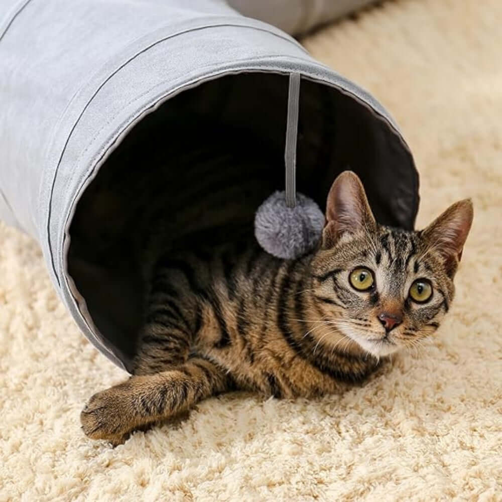 Playful cat inside a foldable interactive cat tunnel, showcasing the soft suede and fun design from LuxePaws.