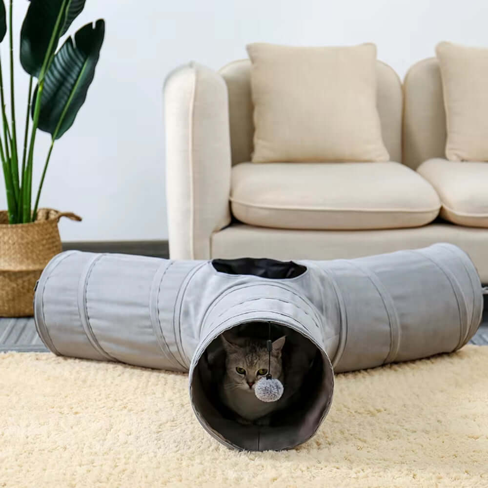 A playful cat peeks out of a foldable and collapsible cat tunnel, showcasing its interactive design for fun exercise.